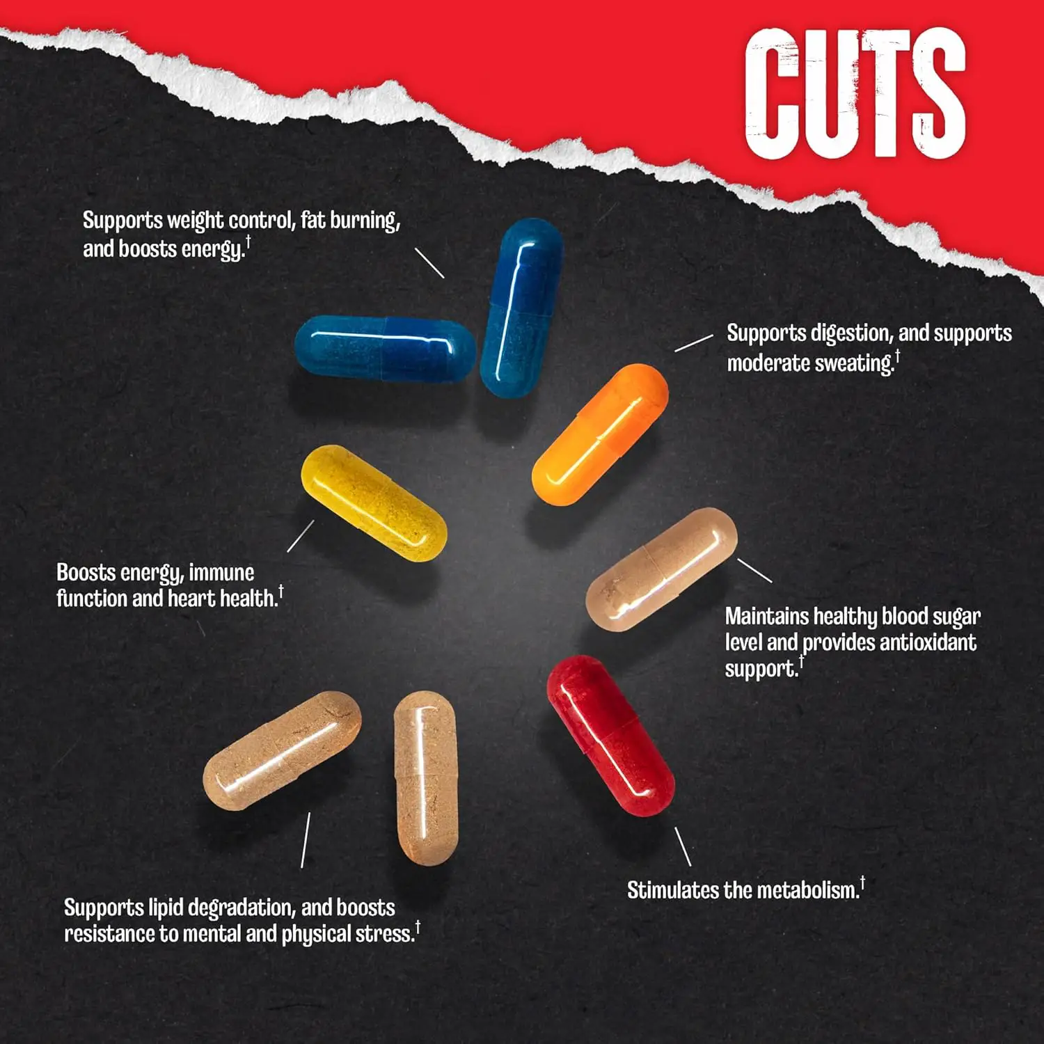 Animal Cuts 42 packs Strong fat burner Suplementi MK