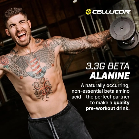 Cellucor Cor Performance Beta-Alanine Pre-Workout Supplements Macedonia