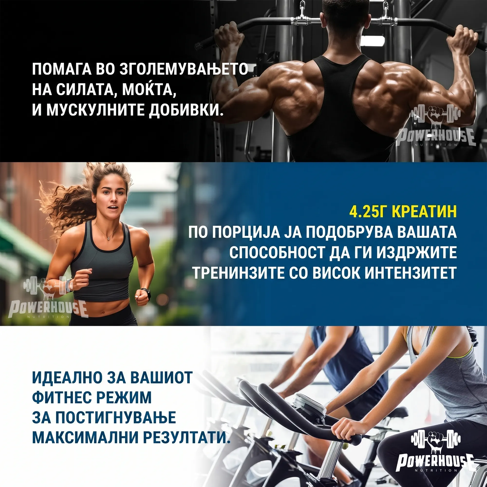 applied nutrition creatine monohydrate benefits powerhouse skopje